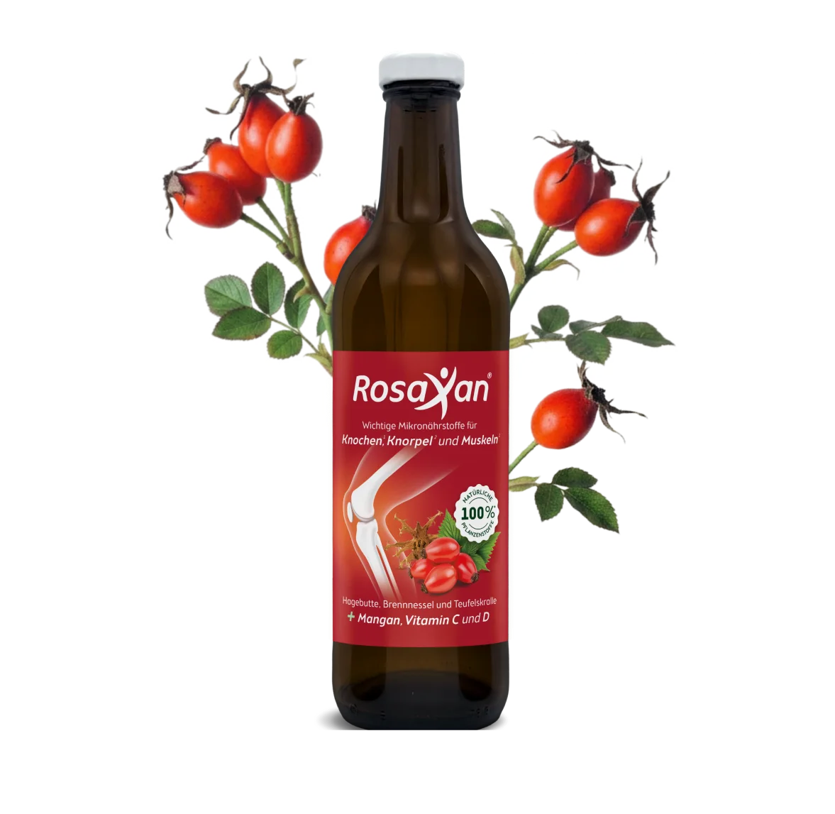 Rosaxan Flasche mit Hagebuttenzweigen